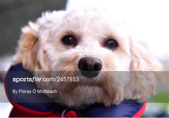 Cork v Kerry - Lidl Ladies National Football League Division 1