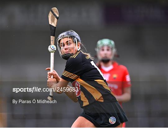 Kilkenny v Cork - Very Camogie League Division 1A Kilkenny v Cork - Very Camogie League Division 1A