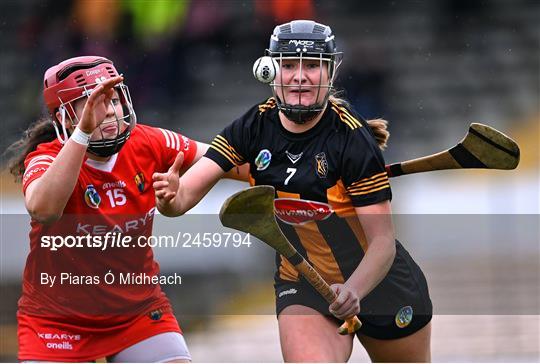 Kilkenny v Cork - Very Camogie League Division 1A Kilkenny v Cork - Very Camogie League Division 1A
