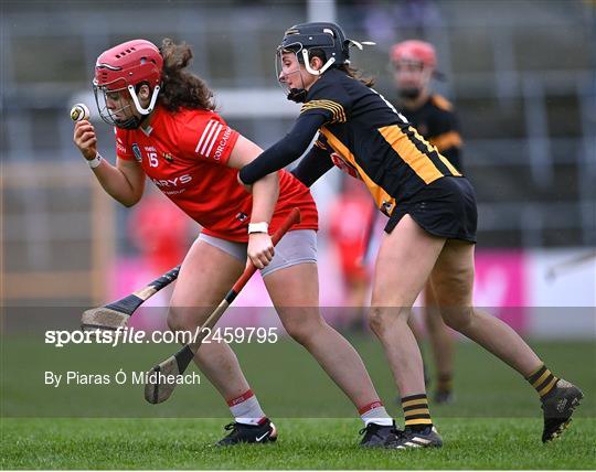 Kilkenny v Cork - Very Camogie League Division 1A Kilkenny v Cork - Very Camogie League Division 1A