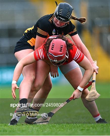 Kilkenny v Cork - Very Camogie League Division 1A Kilkenny v Cork - Very Camogie League Division 1A