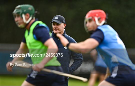 Dublin v Laois - Allianz Hurling League Division 1 Group B