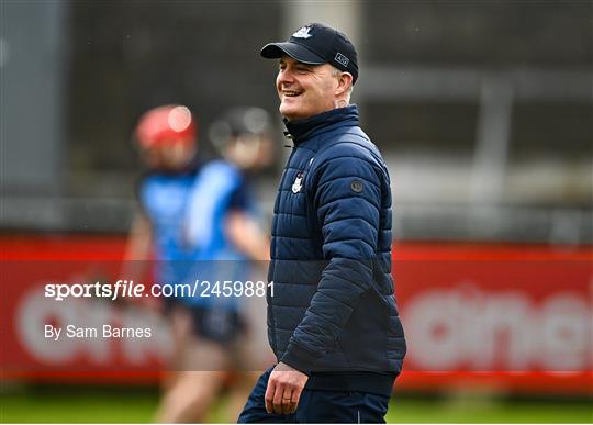 Dublin v Laois - Allianz Hurling League Division 1 Group B Dublin v Laois - Allianz Hurling League Division 1 Group B