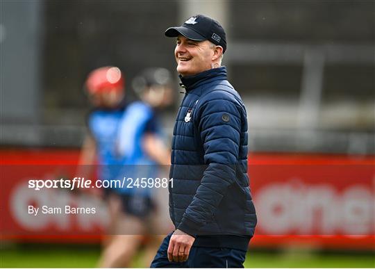 Dublin v Laois - Allianz Hurling League Division 1 Group B