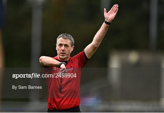 Dublin v Laois - Allianz Hurling League Division 1 Group B