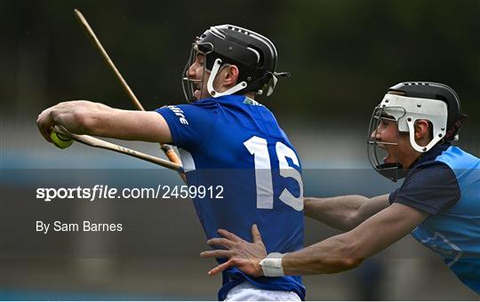 Dublin v Laois - Allianz Hurling League Division 1 Group B