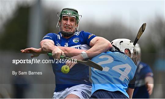 Dublin v Laois - Allianz Hurling League Division 1 Group B