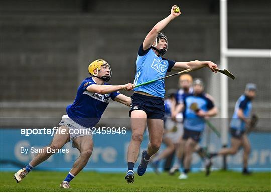 Dublin v Laois - Allianz Hurling League Division 1 Group B