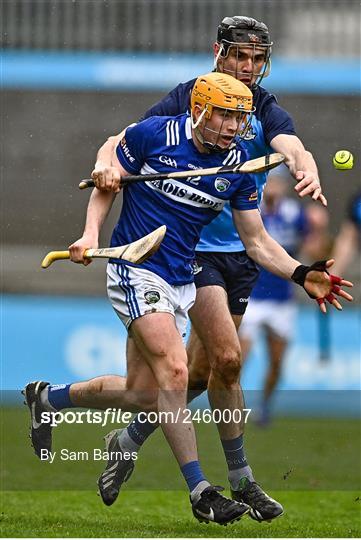 Dublin v Laois - Allianz Hurling League Division 1 Group B