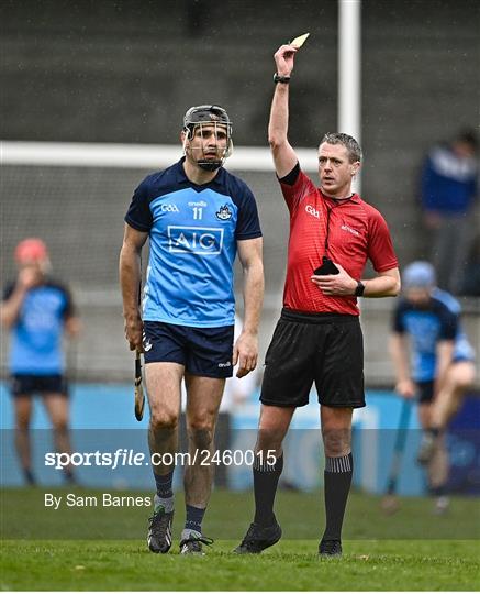 Dublin v Laois - Allianz Hurling League Division 1 Group B