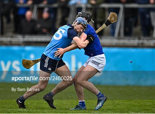 Dublin v Laois - Allianz Hurling League Division 1 Group B