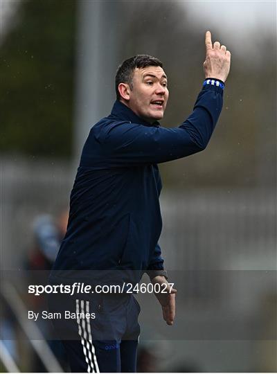 Dublin v Laois - Allianz Hurling League Division 1 Group B