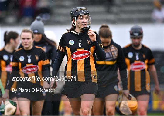Kilkenny v Cork - Very Camogie League Division 1A Kilkenny v Cork - Very Camogie League Division 1A