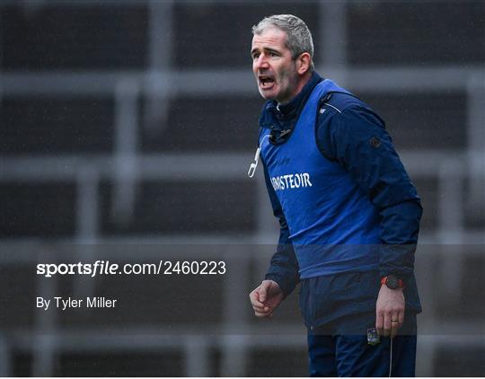 Limerick v Kildare - Allianz Football League Division 2