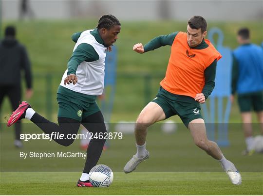 Republic of Ireland Training Session and Press Conference Republic of Ireland Training Session and Press Conference