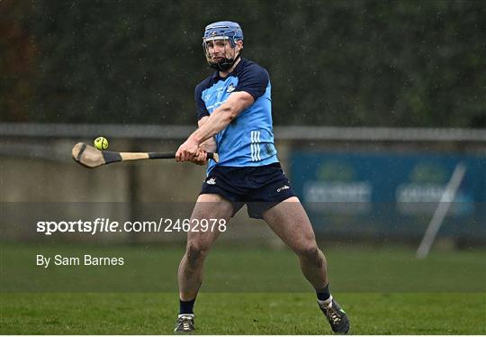 Dublin v Laois - Allianz Hurling League Division 1 Group B Dublin v Laois - Allianz Hurling League Division 1 Group B