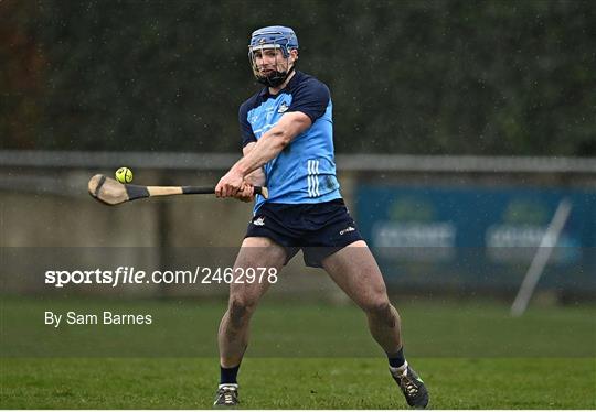 Dublin v Laois - Allianz Hurling League Division 1 Group B