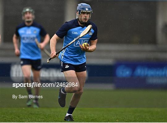 Dublin v Laois - Allianz Hurling League Division 1 Group B