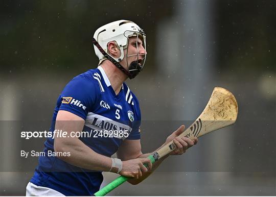 Dublin v Laois - Allianz Hurling League Division 1 Group B