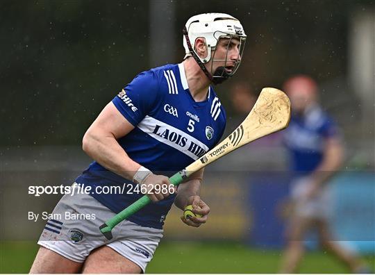 Dublin v Laois - Allianz Hurling League Division 1 Group B