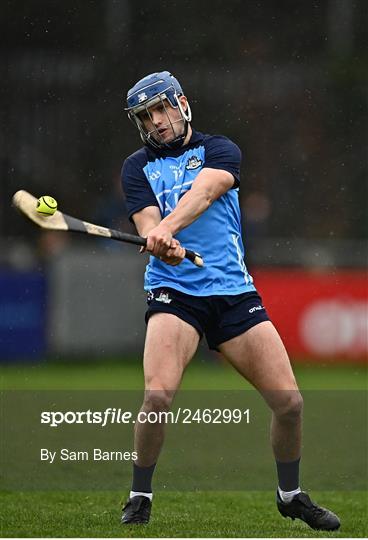 Dublin v Laois - Allianz Hurling League Division 1 Group B