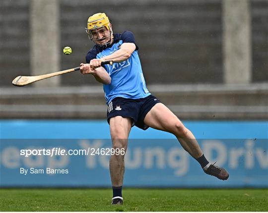 Dublin v Laois - Allianz Hurling League Division 1 Group B