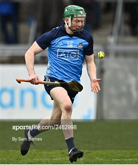 Dublin v Laois - Allianz Hurling League Division 1 Group B