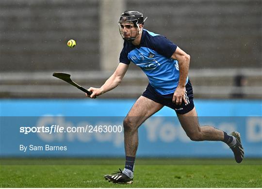 Dublin v Laois - Allianz Hurling League Division 1 Group B