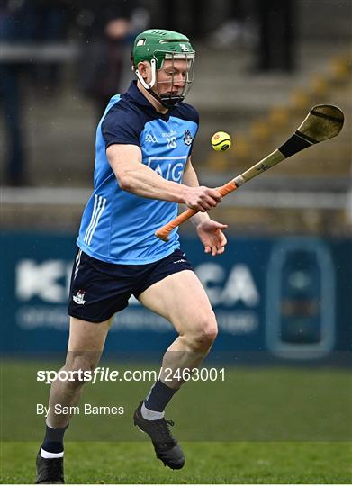 Dublin v Laois - Allianz Hurling League Division 1 Group B