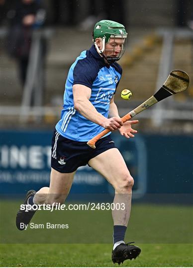 Dublin v Laois - Allianz Hurling League Division 1 Group B