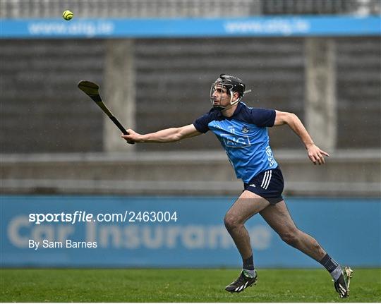 Dublin v Laois - Allianz Hurling League Division 1 Group B Dublin v Laois - Allianz Hurling League Division 1 Group B