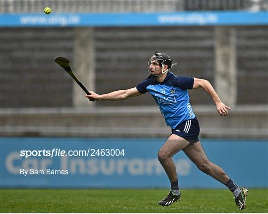 Dublin v Laois - Allianz Hurling League Division 1 Group B