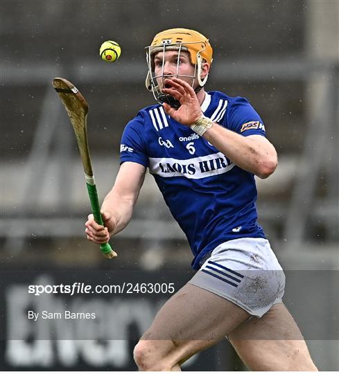 Dublin v Laois - Allianz Hurling League Division 1 Group B