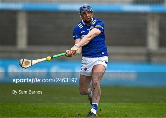 Dublin v Laois - Allianz Hurling League Division 1 Group B