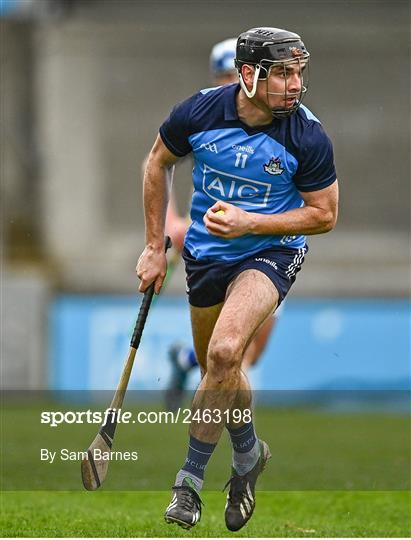 Dublin v Laois - Allianz Hurling League Division 1 Group B