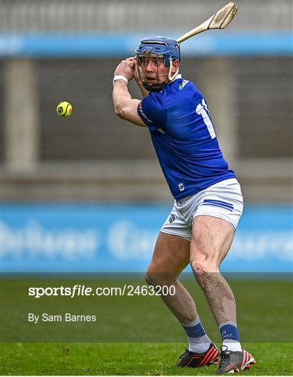 Dublin v Laois - Allianz Hurling League Division 1 Group B