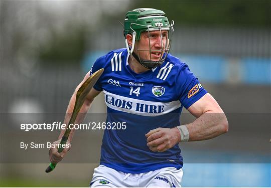 Dublin v Laois - Allianz Hurling League Division 1 Group B