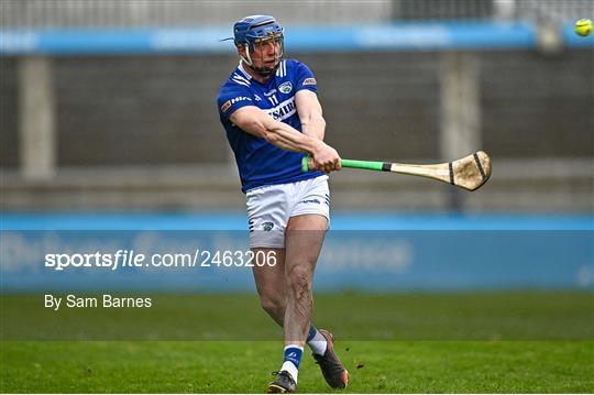 Dublin v Laois - Allianz Hurling League Division 1 Group B