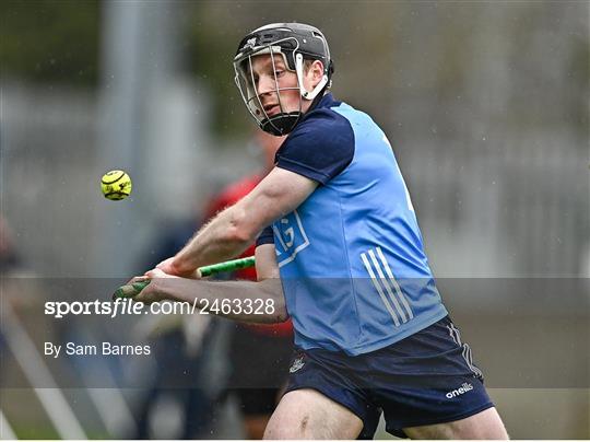 Dublin v Laois - Allianz Hurling League Division 1 Group B Dublin v Laois - Allianz Hurling League Division 1 Group B