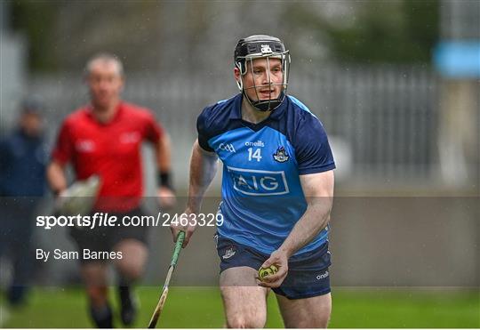 Dublin v Laois - Allianz Hurling League Division 1 Group B