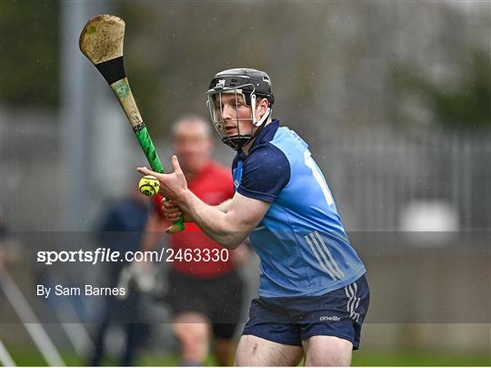 Dublin v Laois - Allianz Hurling League Division 1 Group B