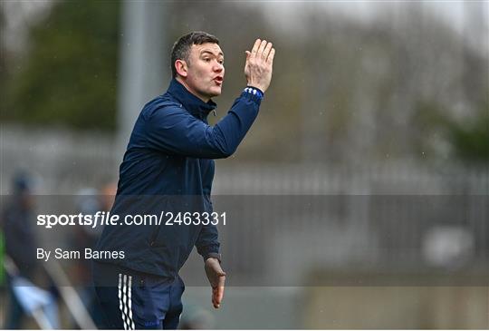 Dublin v Laois - Allianz Hurling League Division 1 Group B