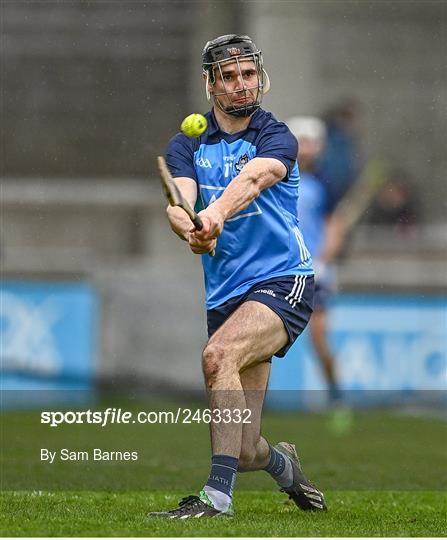 Dublin v Laois - Allianz Hurling League Division 1 Group B