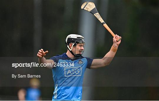 Dublin v Laois - Allianz Hurling League Division 1 Group B