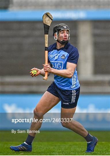 Dublin v Laois - Allianz Hurling League Division 1 Group B