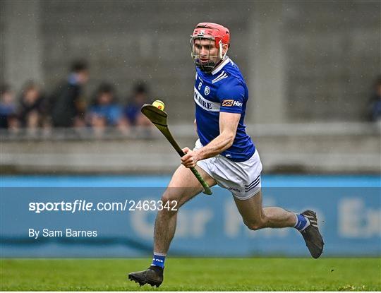 Dublin v Laois - Allianz Hurling League Division 1 Group B