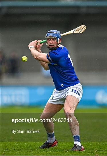 Dublin v Laois - Allianz Hurling League Division 1 Group B