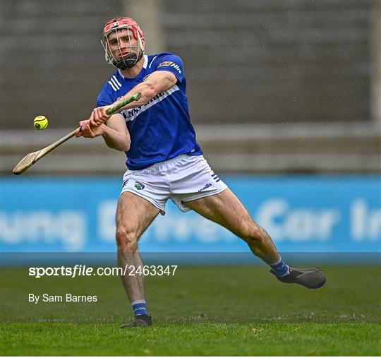 Dublin v Laois - Allianz Hurling League Division 1 Group B