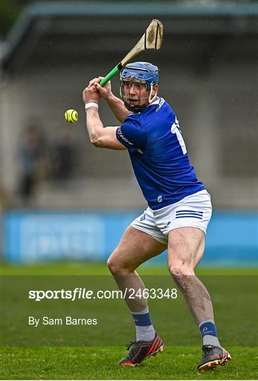 Dublin v Laois - Allianz Hurling League Division 1 Group B