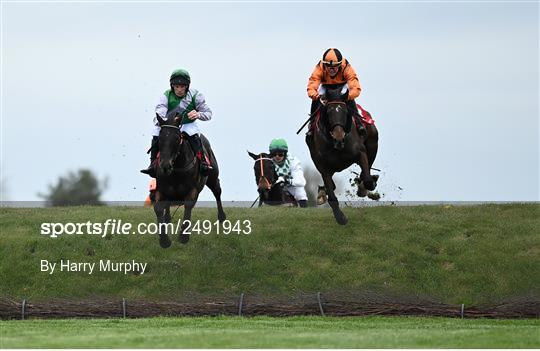 Punchestown Festival - Day One